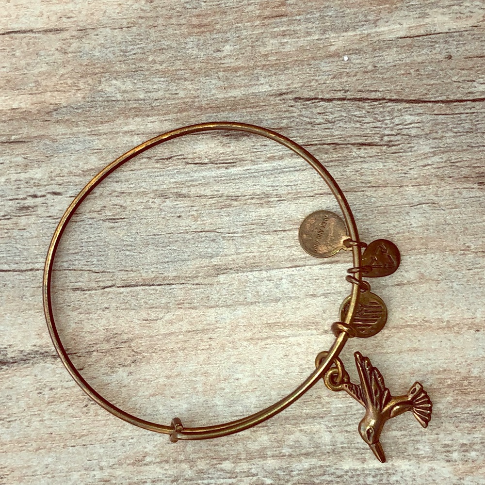 Alex and Ani adj bracelet Hummingbird